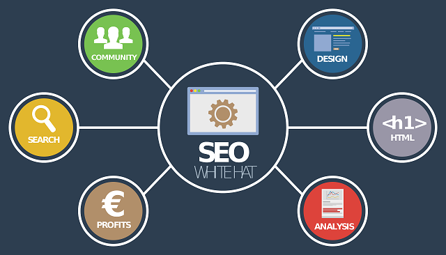 Multi Biz Solutions - Search Engine Optimization Service