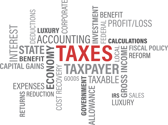 Multi Biz Solutions - Tax Consultancy Services